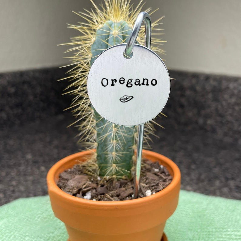 💥Early Christmas Hot Sale 80% OFF💥- Round Potted Plant Insert Sign🌵