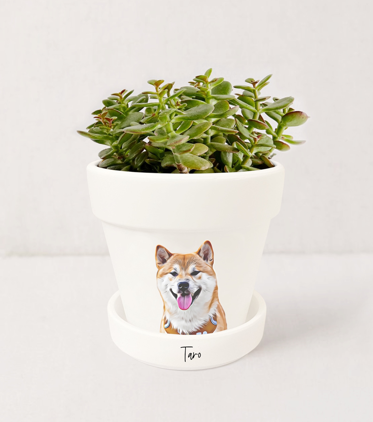 Personalized Pet Memorial Gift Planter 