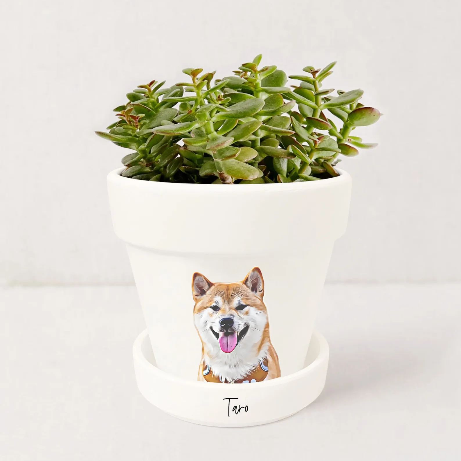 Personalized Pet Memorial Gift Planter 