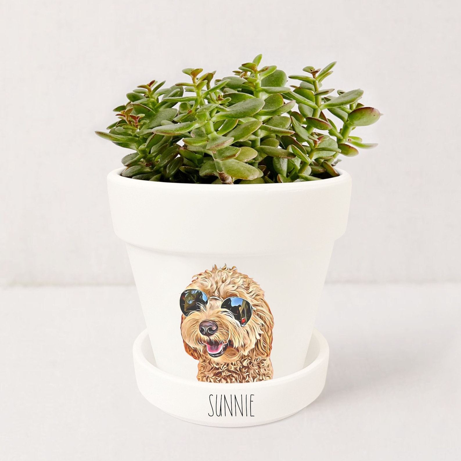 Personalized Pet Memorial Gift Planter 