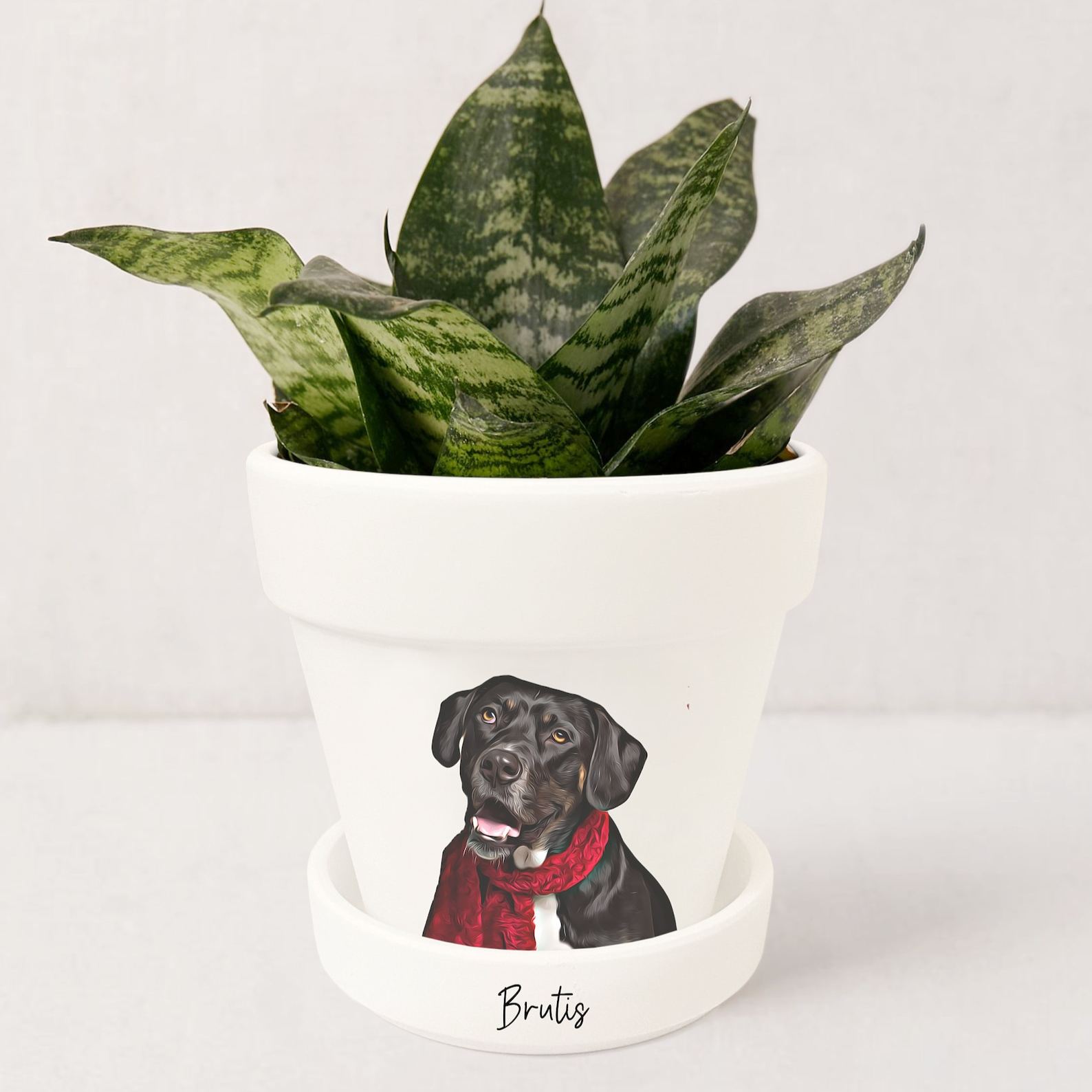 Personalized Pet Memorial Gift Planter 
