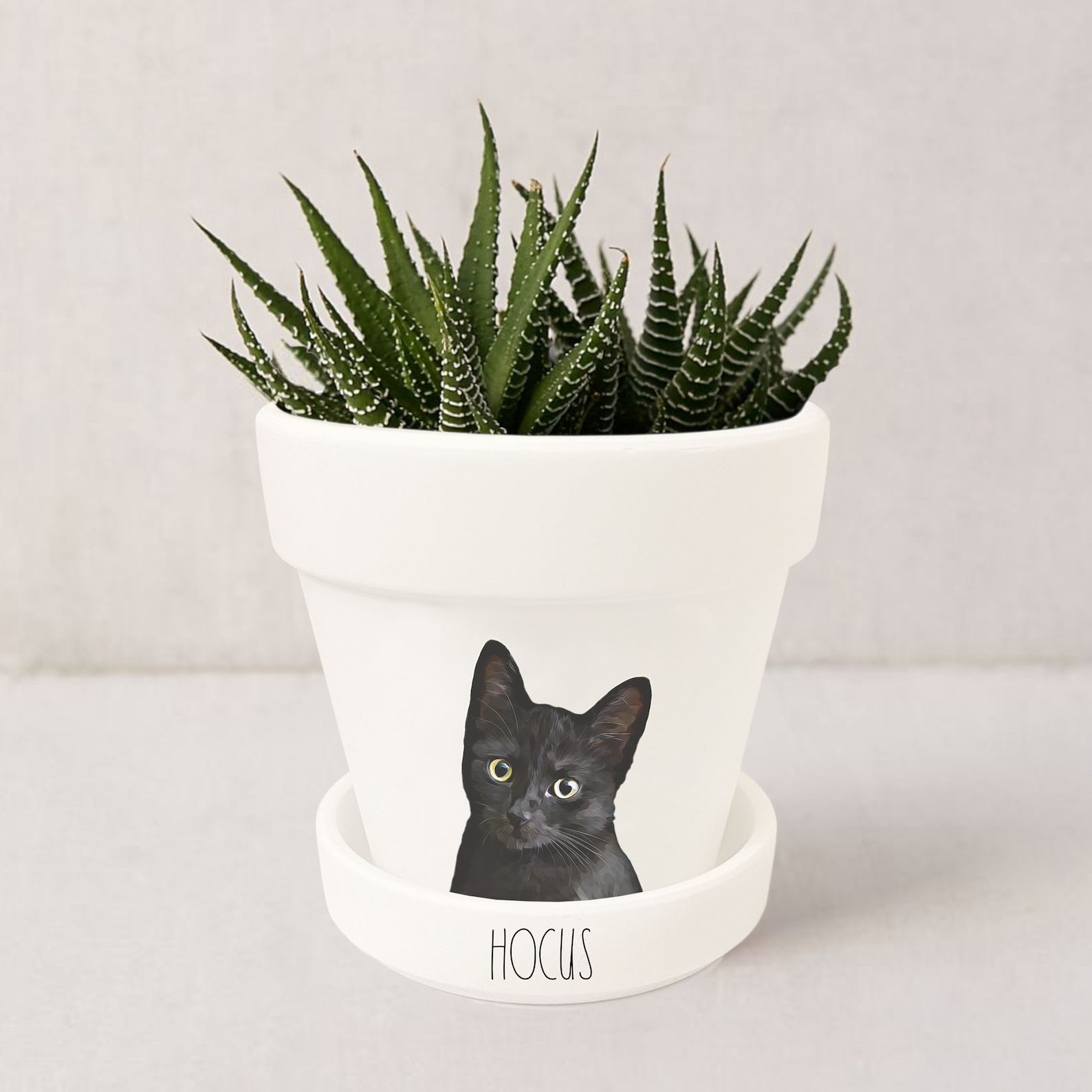 Personalized Pet Memorial Gift Planter 