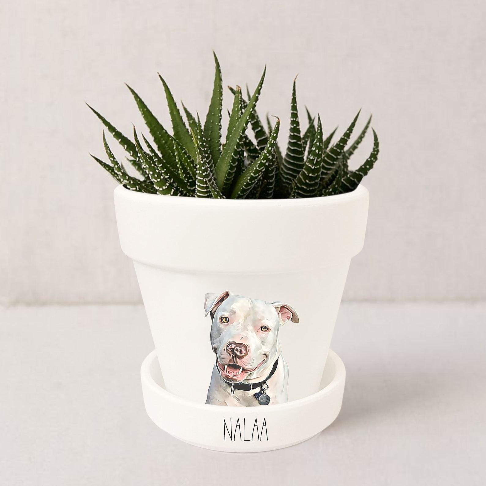 Personalized Pet Memorial Gift Planter 