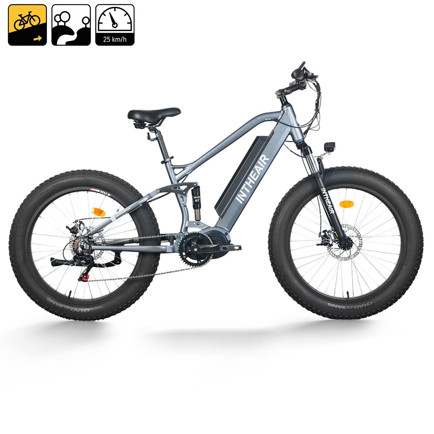 ZNH-09 Black Fat Tire Electric Mountain Bike for Beach 