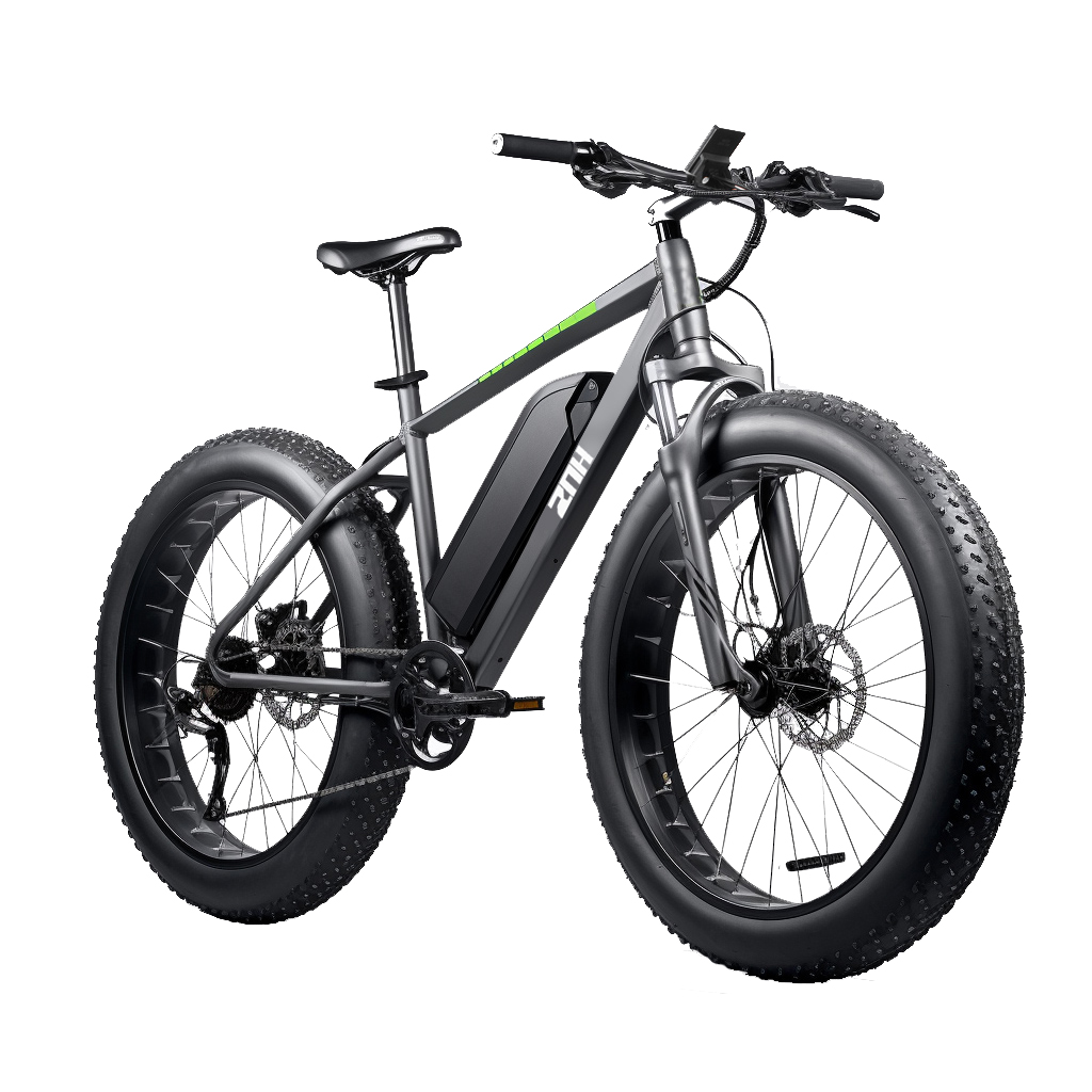 ZNH 500W  48V/13AH Removable Battery Electric Bike