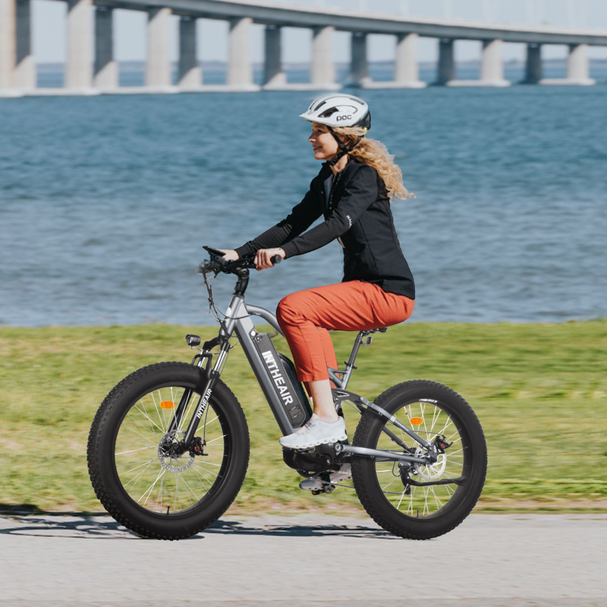 ZNH 099 Black Fat Tire Electric Mountain Bike for Beach 