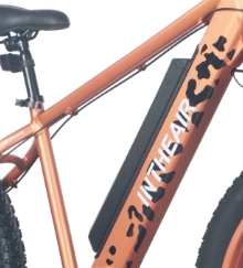 ZNH-06-Battery,48V 13Ah