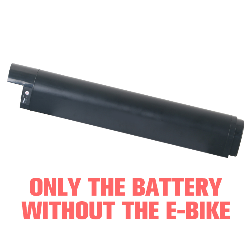 48v 10.4ah battery