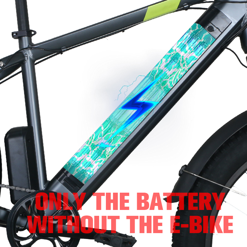 48v 10.4ah battery
