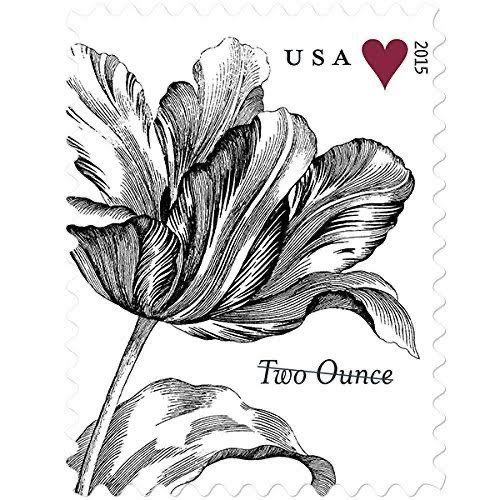 Vintage Tulip 2015