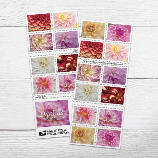 Dahlias Stamps 2025