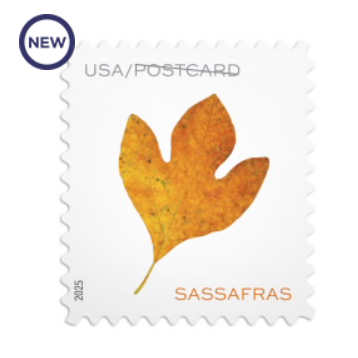 Vibrant Leaves Postcard Stamps 2025