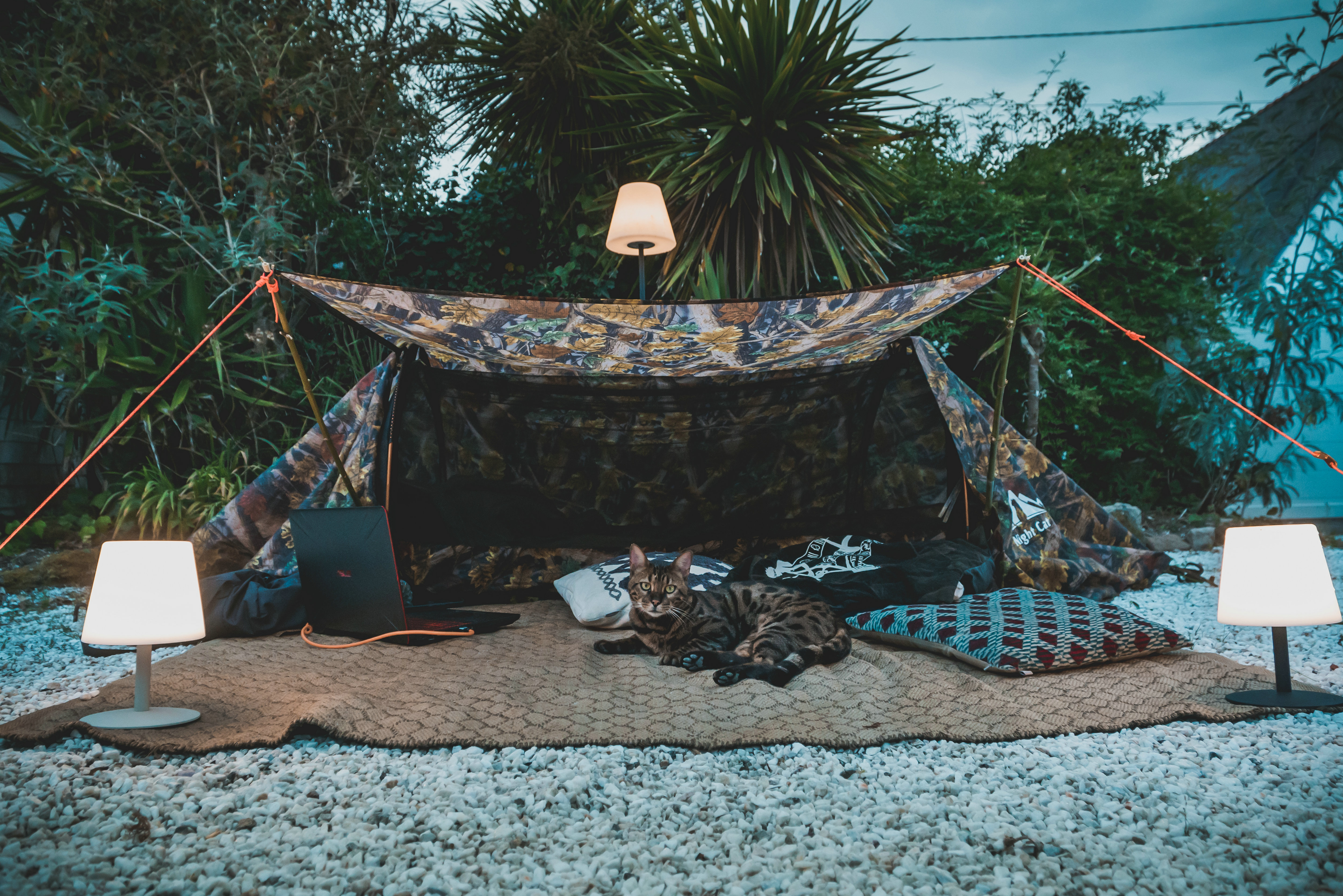 Best Lightweight Waterproof Backpacking Tent for Sale