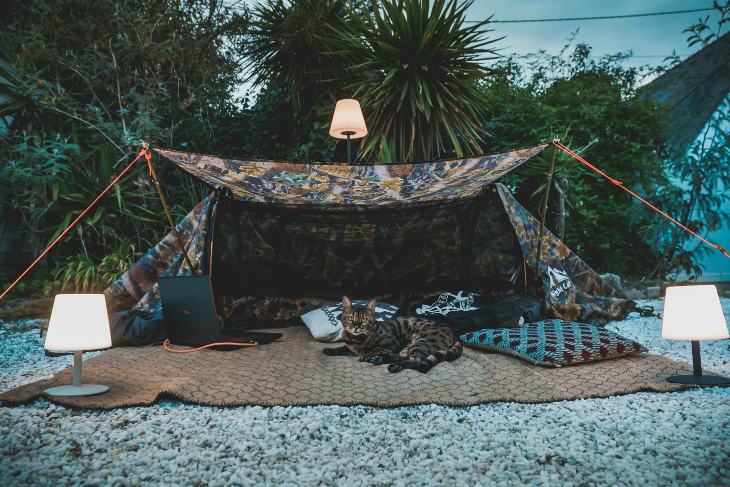 Night Cat Flat Lay Hammock Tent with Mosquito Net Waterproof Rainfly Storage Room for 1 Person Backpacking Hiking Camping Lightweight 330LBS 87x28x19in Army Green
