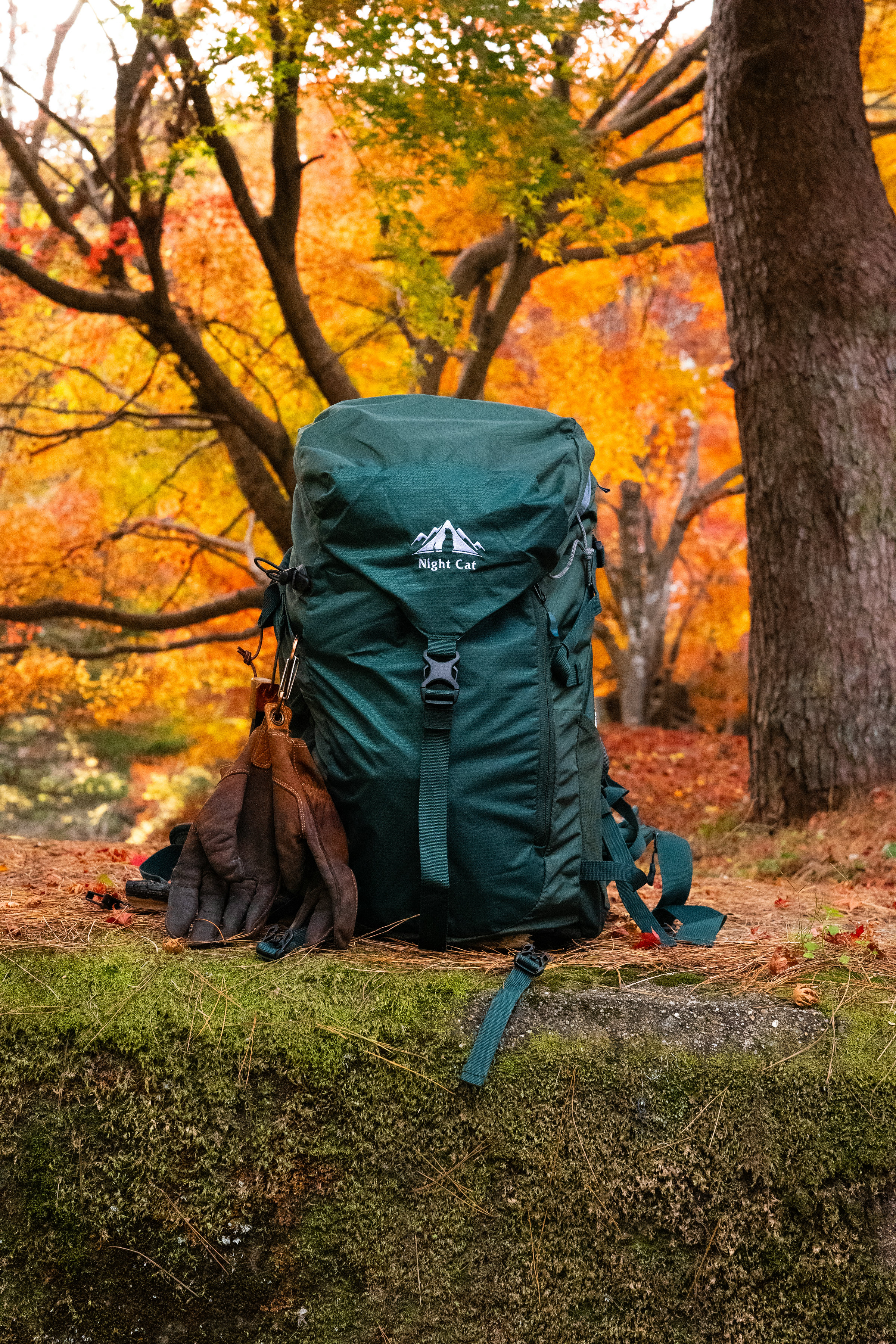 Best Lightweight Waterproof Backpacking Tent for Sale