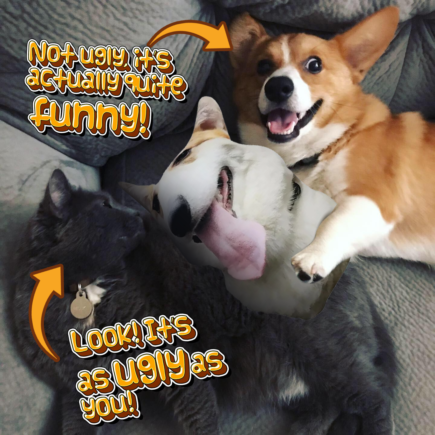 Custom Ugly Pet Pillow from Photo - Funny Dog Pillow Cat Pillow with Picture