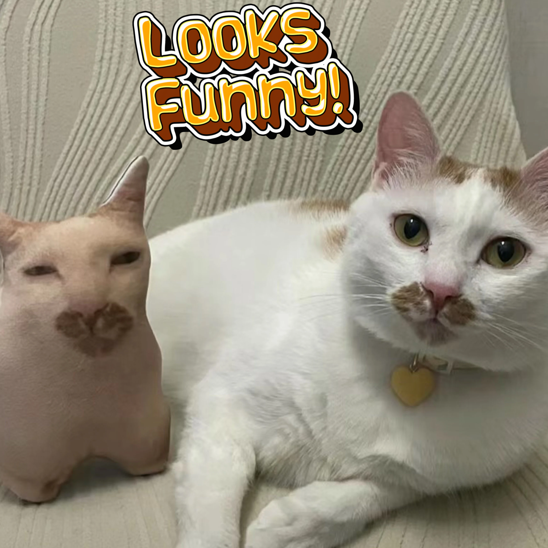 Custom Ugly Pet Pillow from Photo - Funny Dog Pillow Cat Pillow with Picture