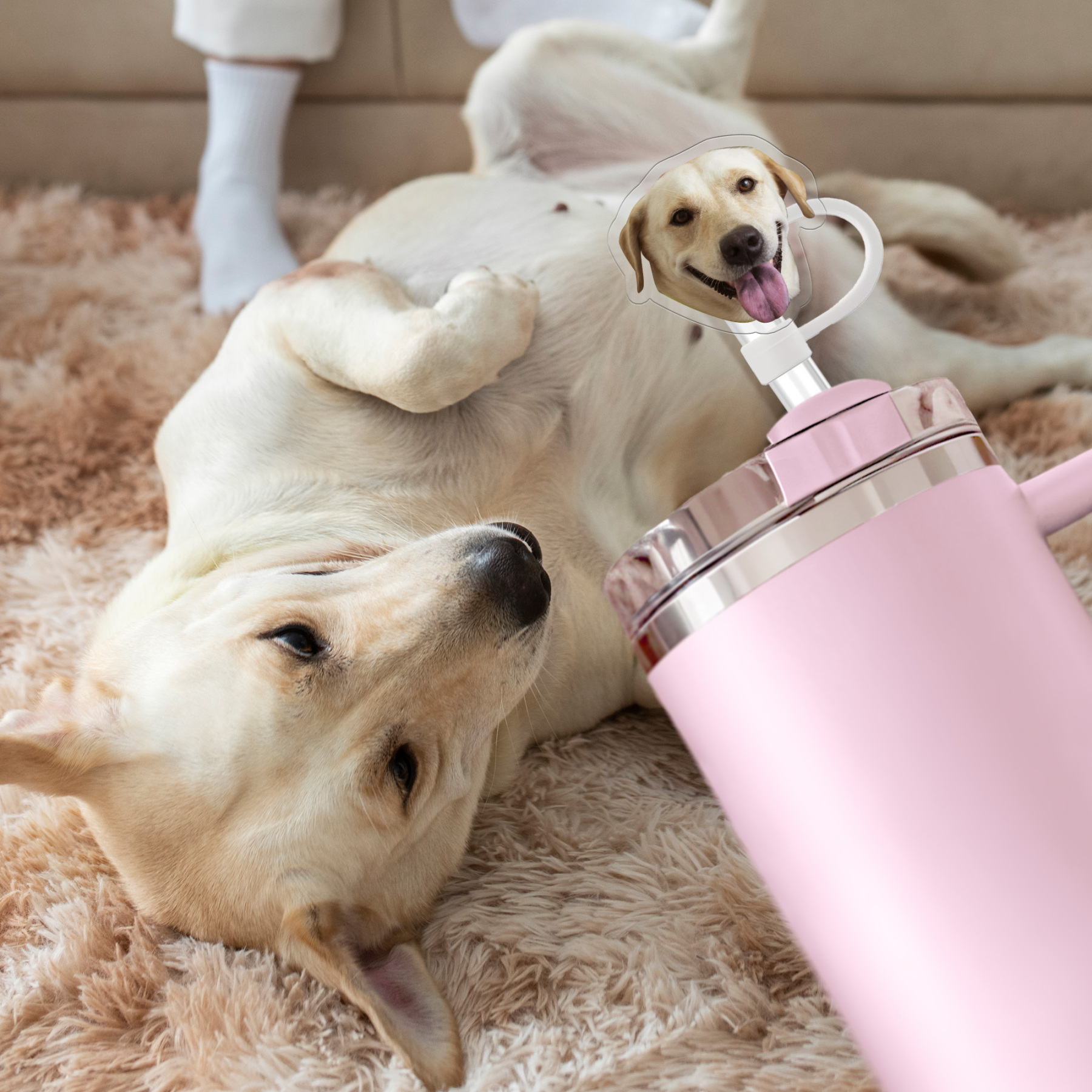 Personalized Stanley Topper with a Face