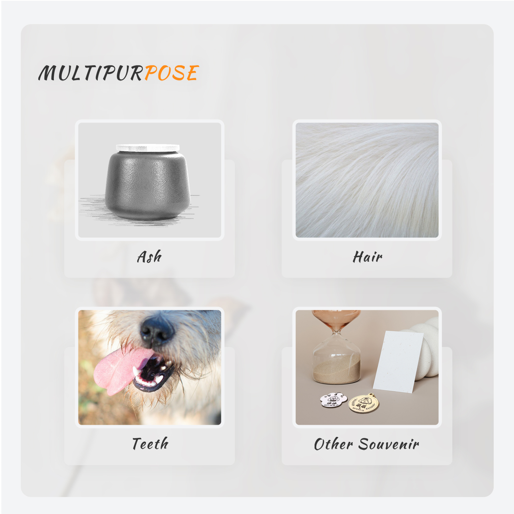 Custom Pet Paw Urn Cat with Name and Date