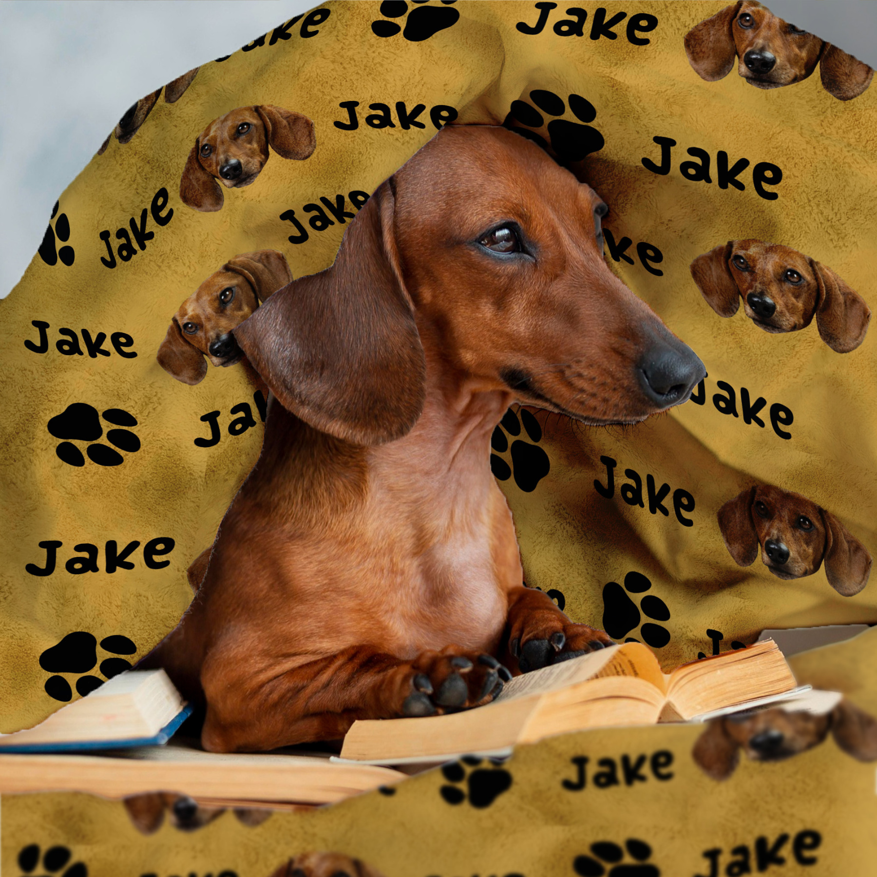 Custom Dog Blanket with Name and Paw Print