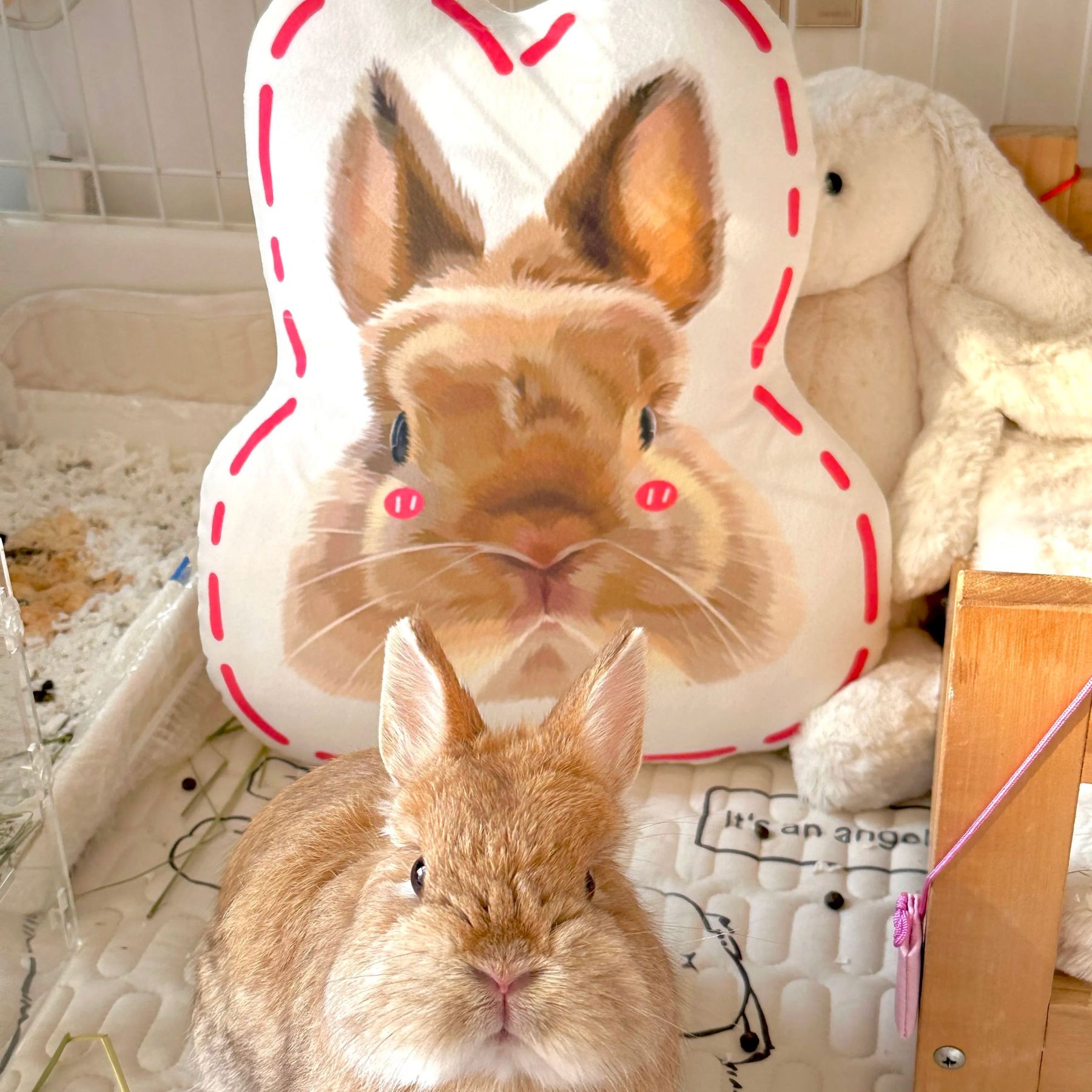 Y Custom Pet Portrait Pillow from Photo 