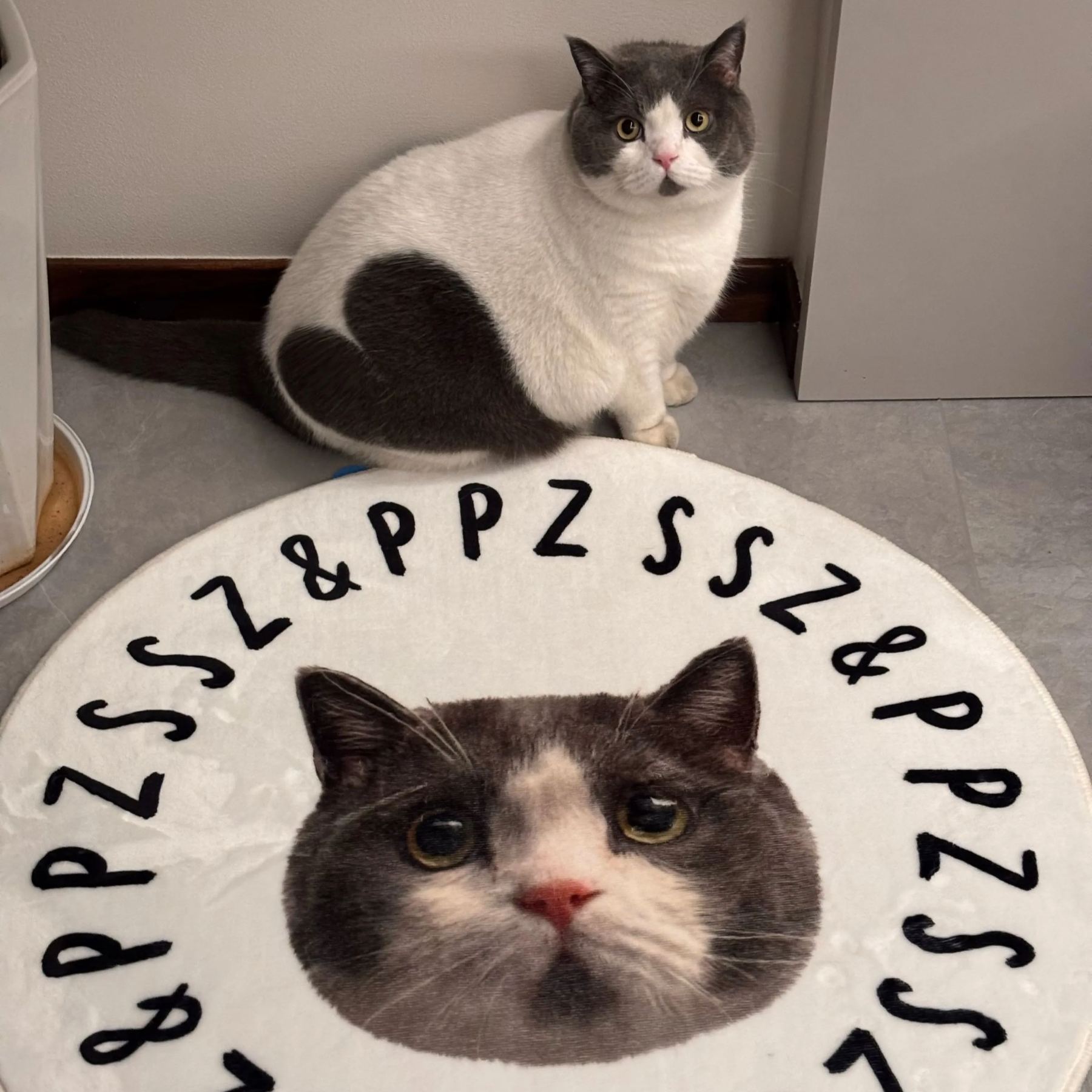 [Copy]Custom Pet Portrait Blanket from Photo 