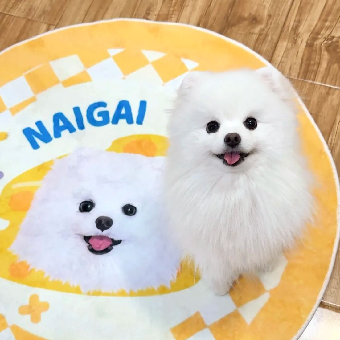 [Copy]Custom Pet Portrait Blanket from Photo 