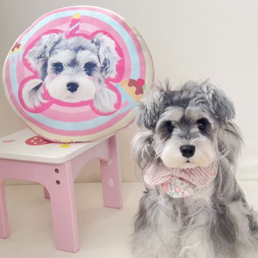 Custom Pet Portrait Pillow from Photo 