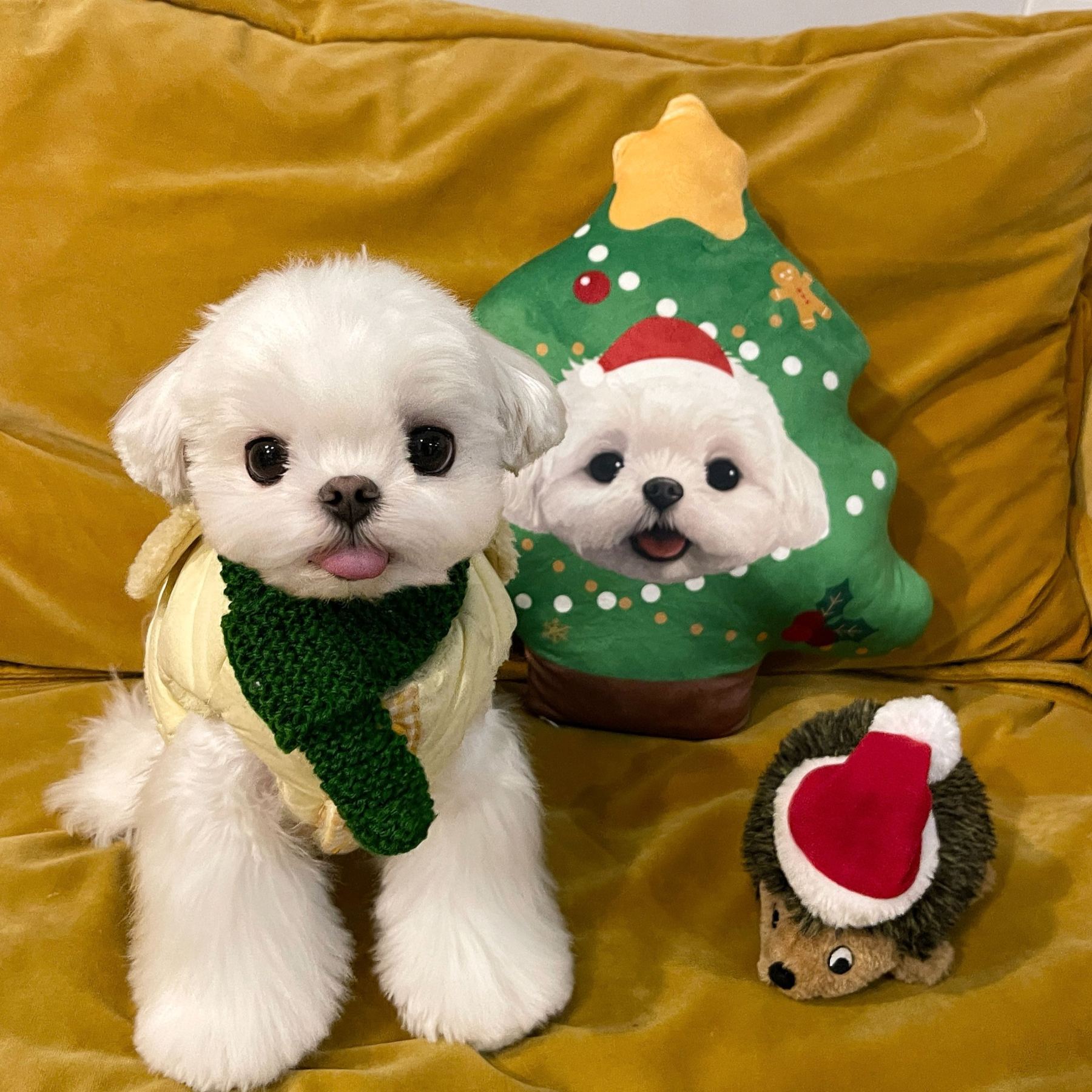 Custom Pet Portrait Pillow from Photo 