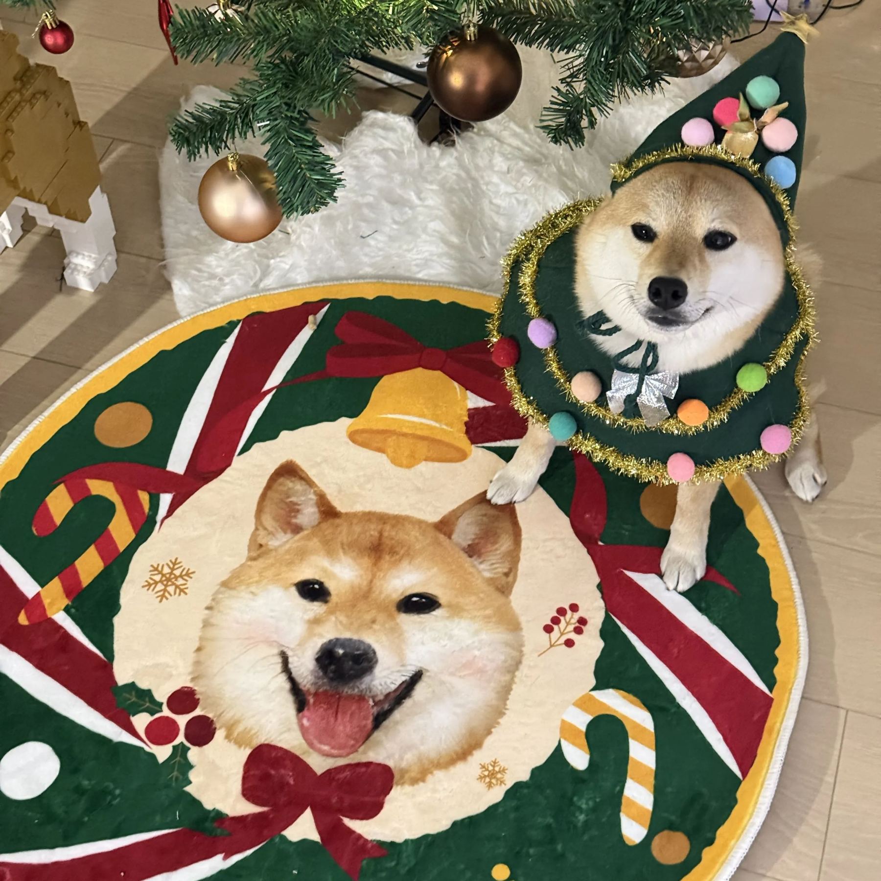 Custom Pet Portrait Carpet from Photo 