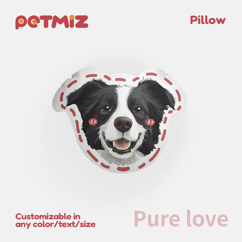 Custom Pet Portrait Pillow from Photo 