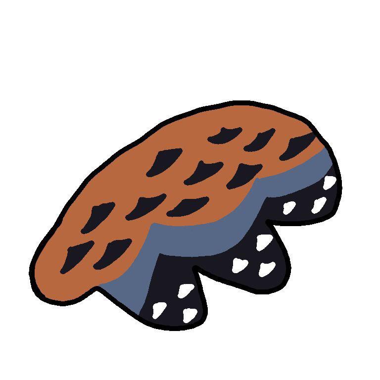 Customized-Fursuit-parts-wings