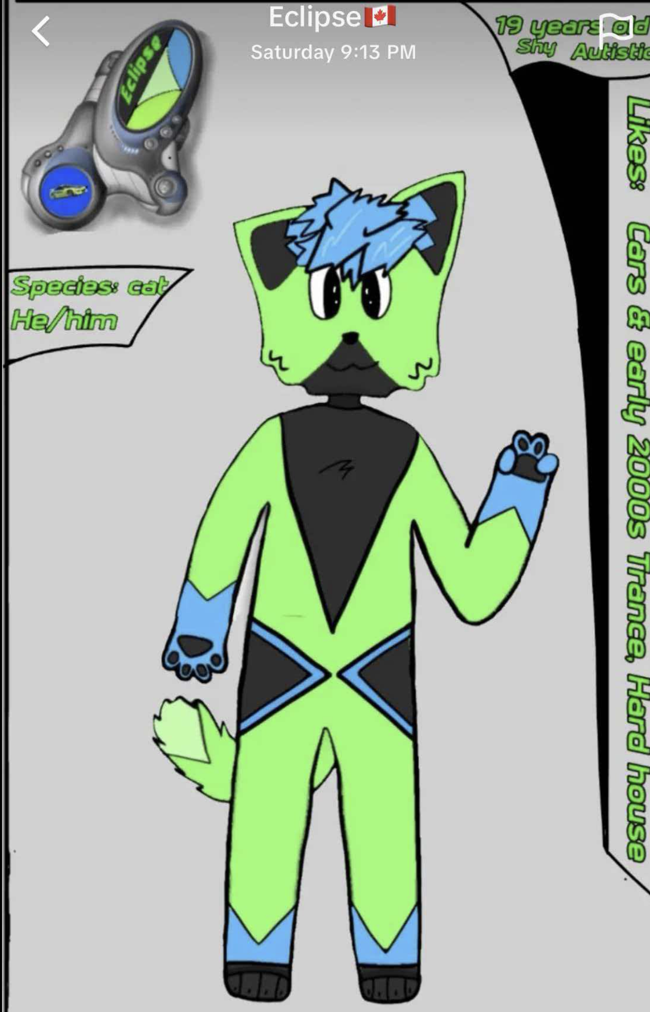 Customized-Fursuit-eclipse final payment（50%）