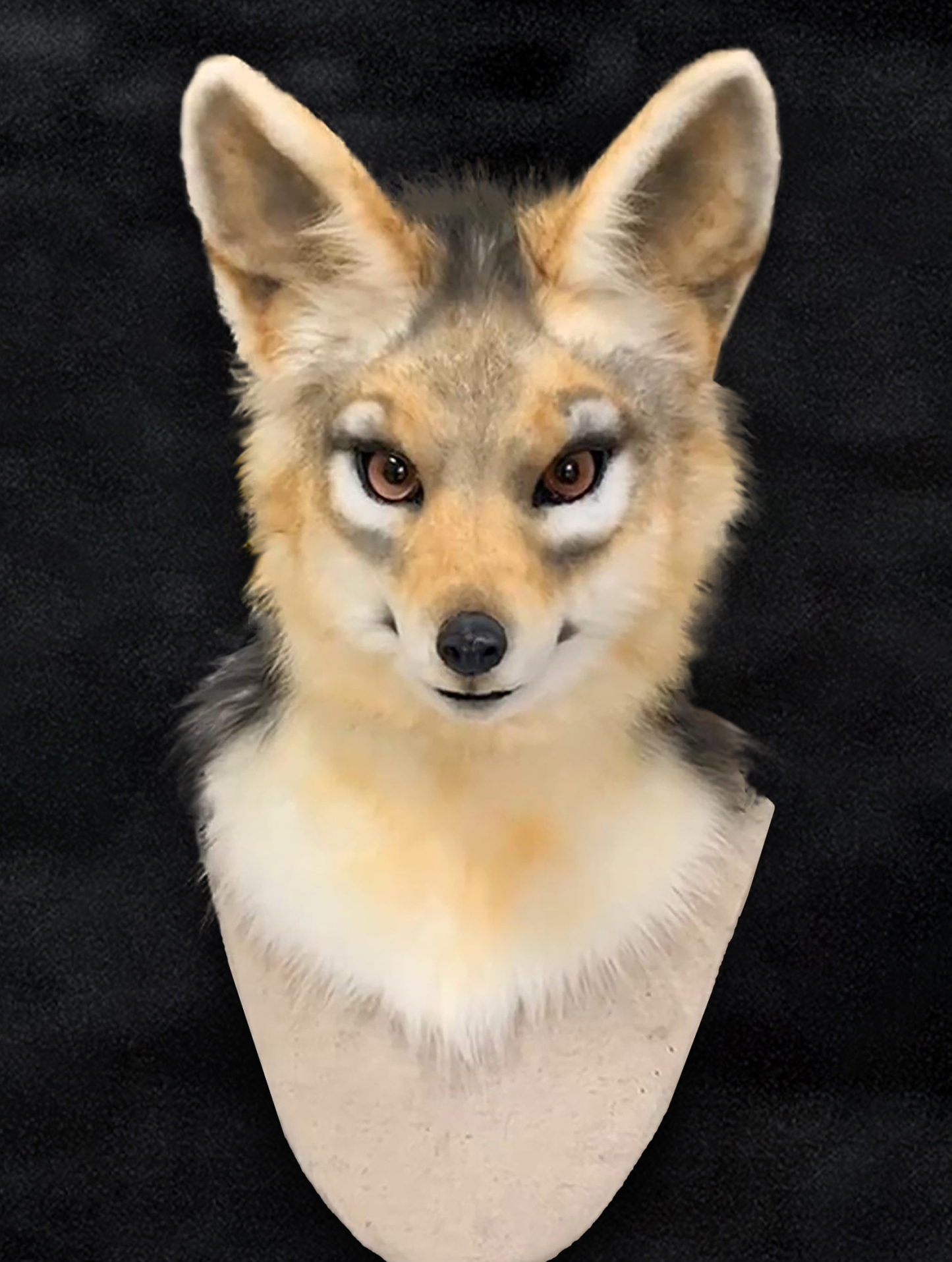 Semi-realistic Animal Mask Fursuit Head