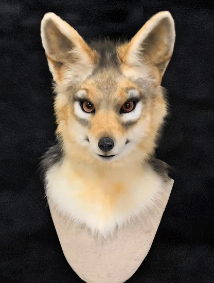 Semi-realistic Animal Mask Fursuit Head