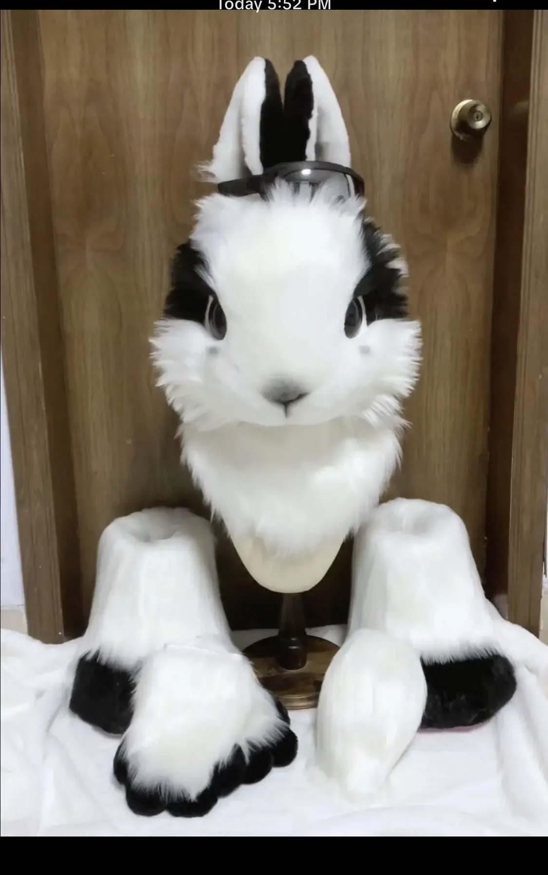 Customized-Fursuit-Pixiethebunni-deposit payment（50%）
