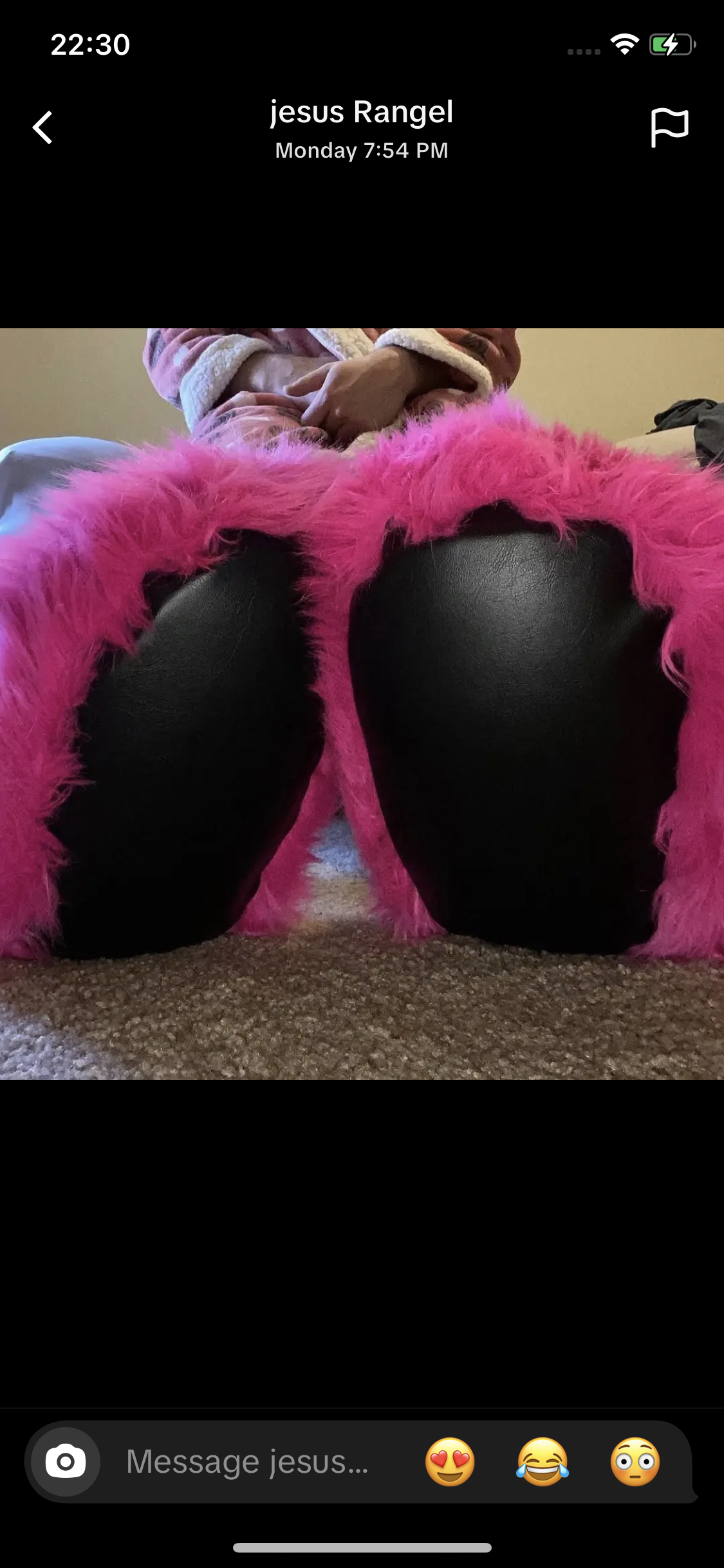 Customized-Fursuit-furslippers-50%