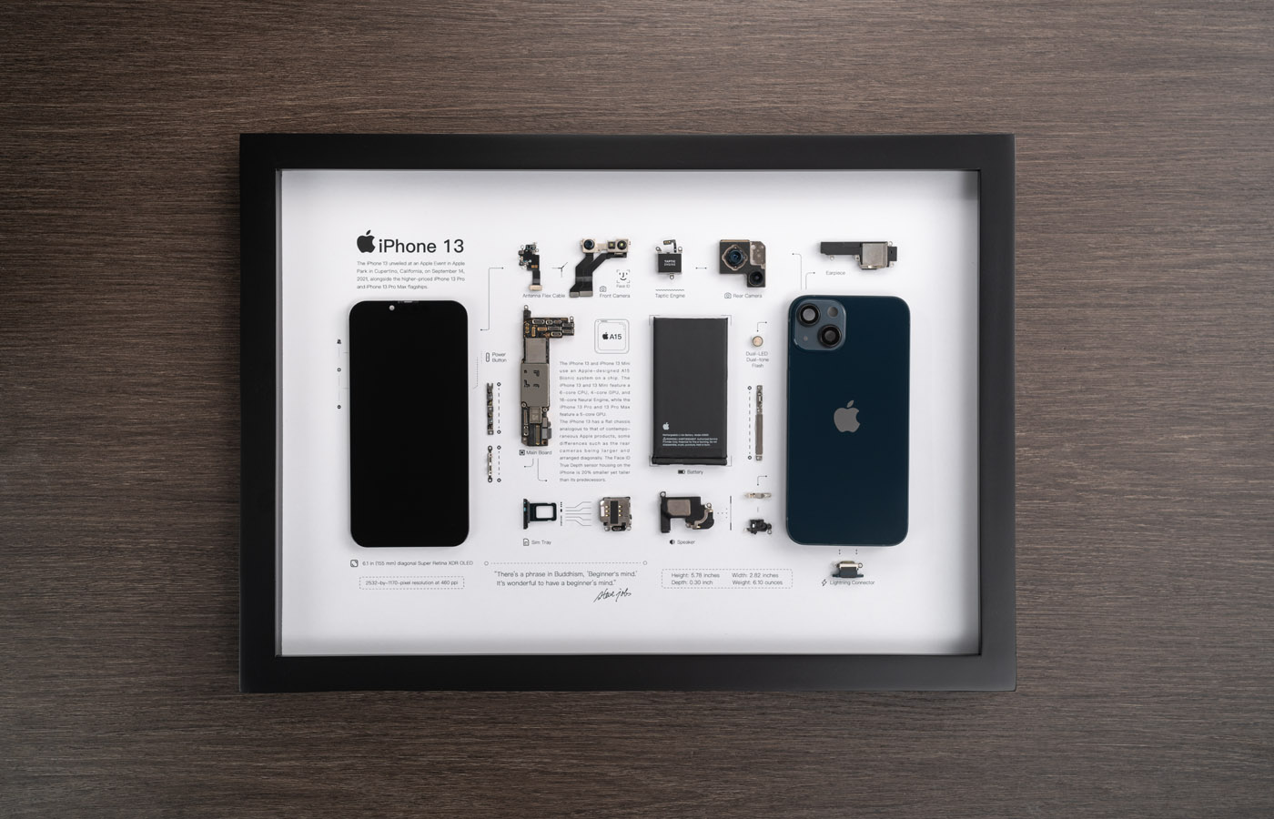 iPhone 3G stripped-down and turned into Apple wall art | The