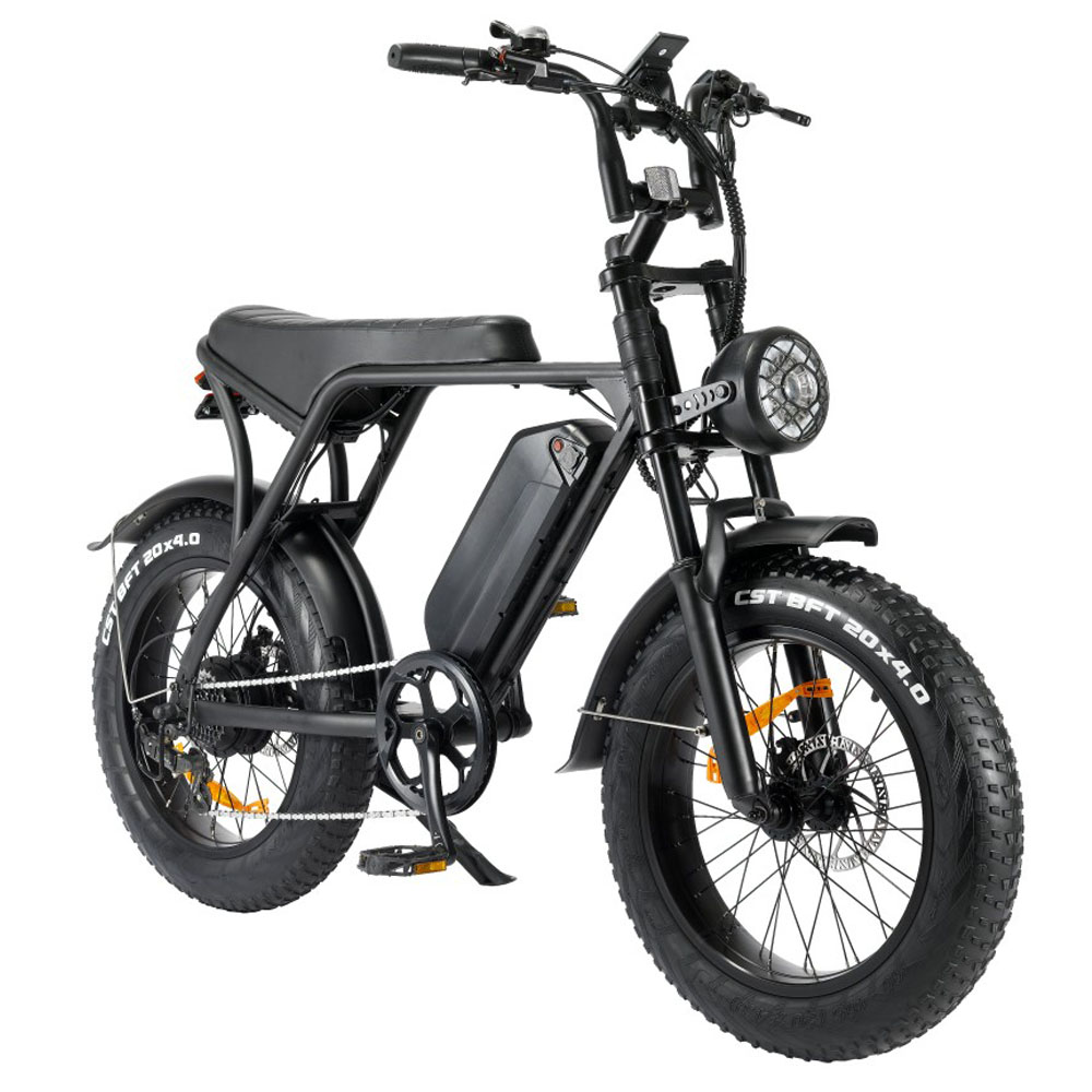 20inch 48V Fat Tire Electric Bicycle Adult foldable Snow E Bike