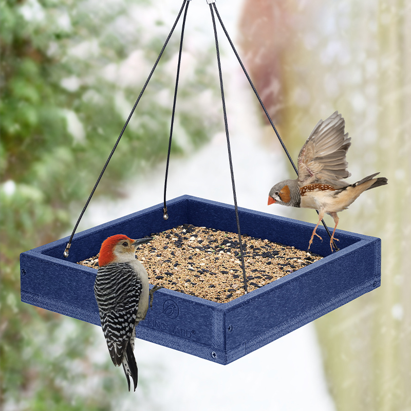 Kingsyard Large Capacity Platform Bird Feeder