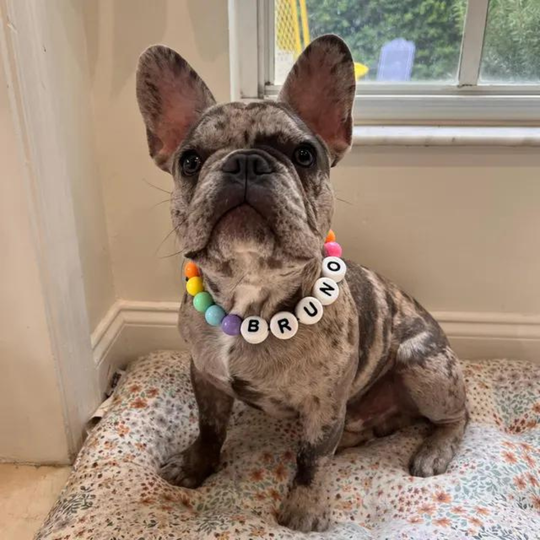 BFF Dog Collar