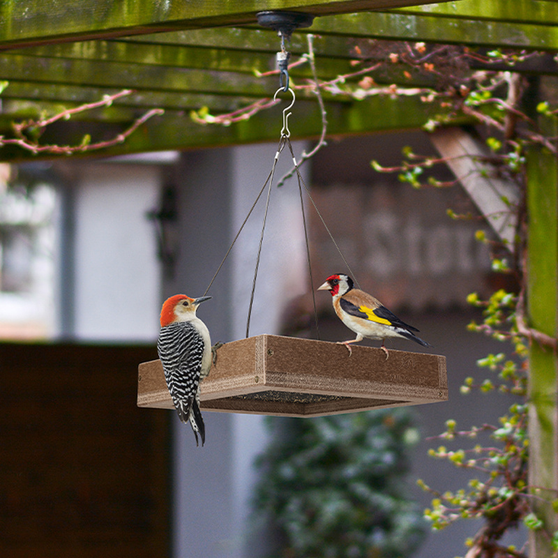 Kingsyard Large Capacity Platform Bird Feeder