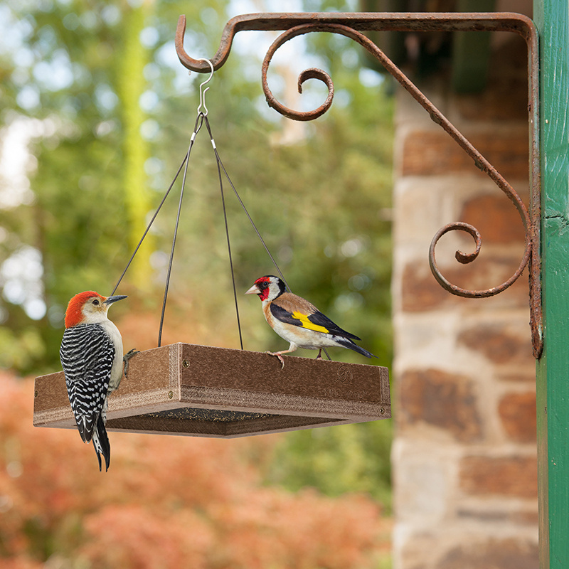 Kingsyard Large Capacity Platform Bird Feeder