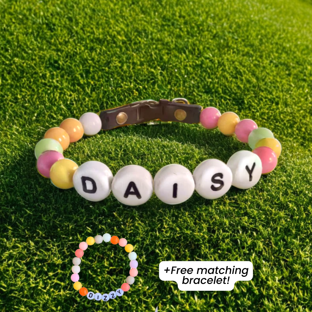 BFF Dog Collar