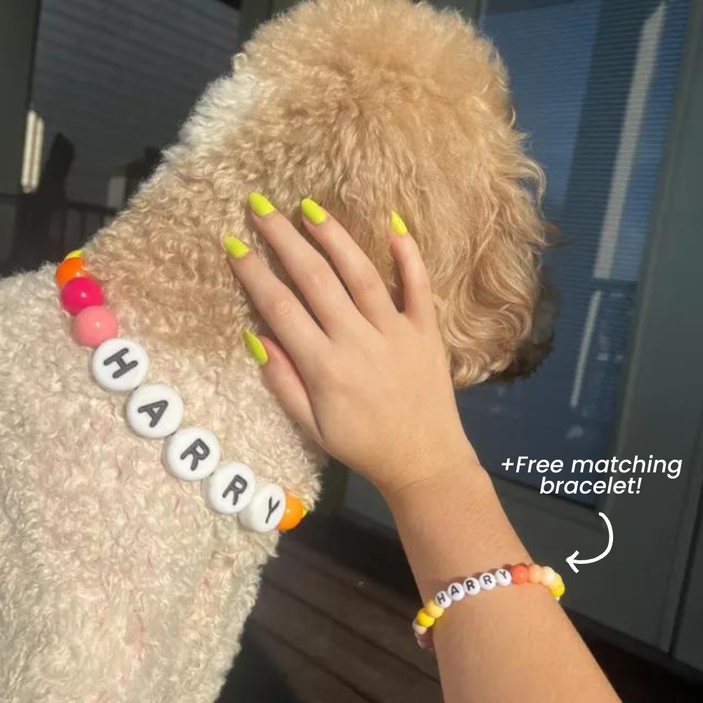 BFF Dog Collar