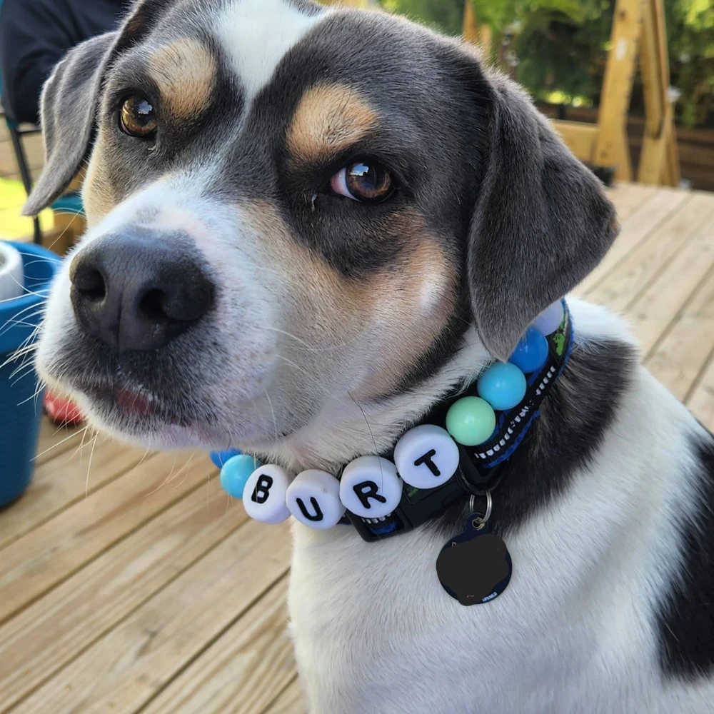 BFF Dog Collar