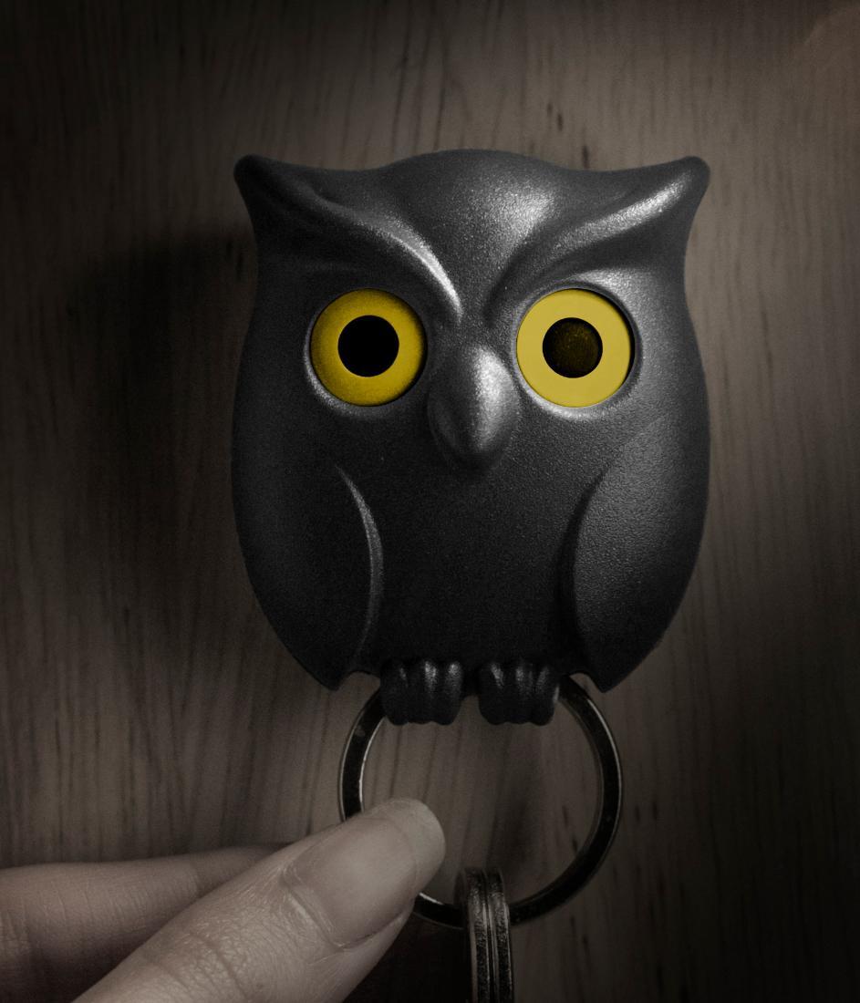 Night Owl
