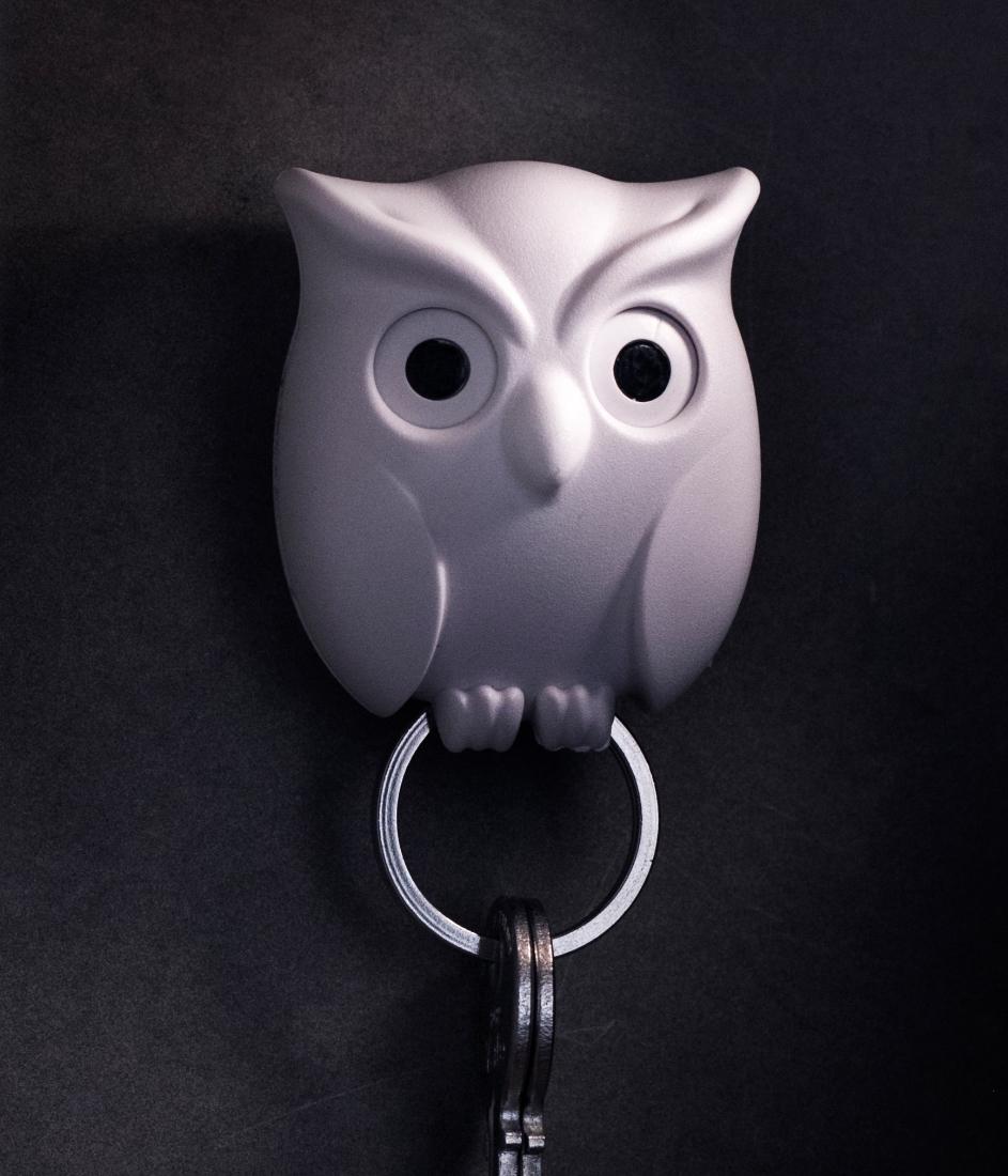 Night Owl