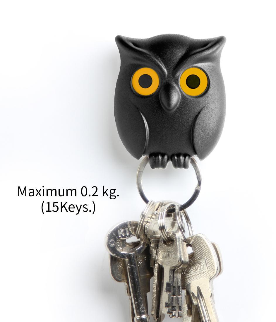 Night Owl
