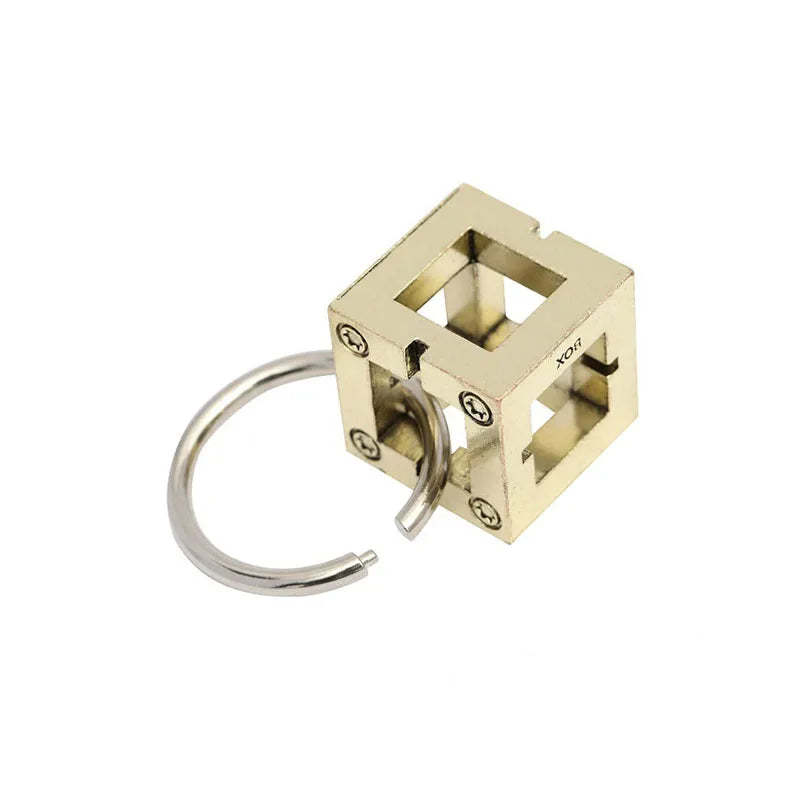 Metal Puzzle Brain Teaser IQ Test Toys Educational Mind Games Adults C